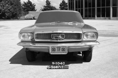 FORD – MUSTANG – NAME – TRUTH-05.jpg